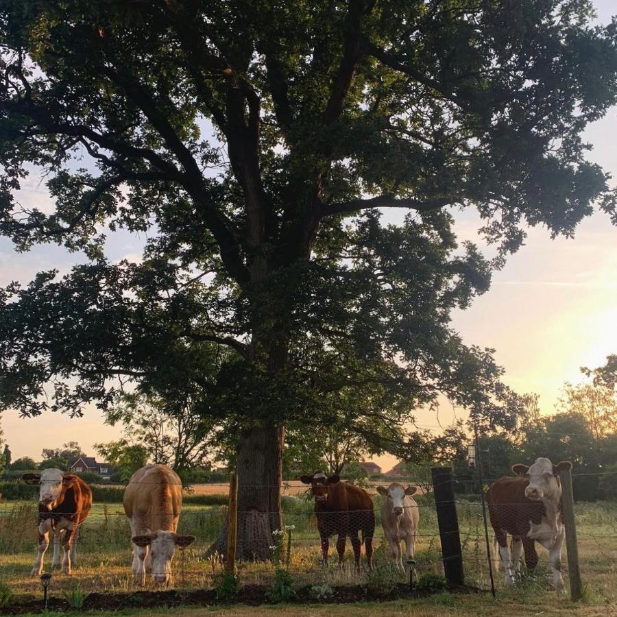 Church Farm Bed and Breakfast Thurlton Εξωτερικό φωτογραφία